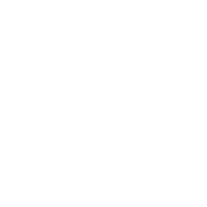 Professional Learning Services